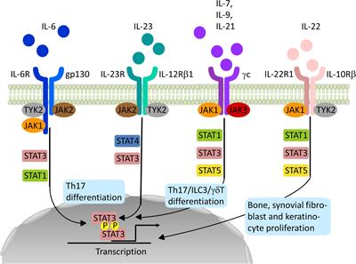 Impact of Janus Kinase Inhibition on the Treatment of Axial Spondyloarthropathies